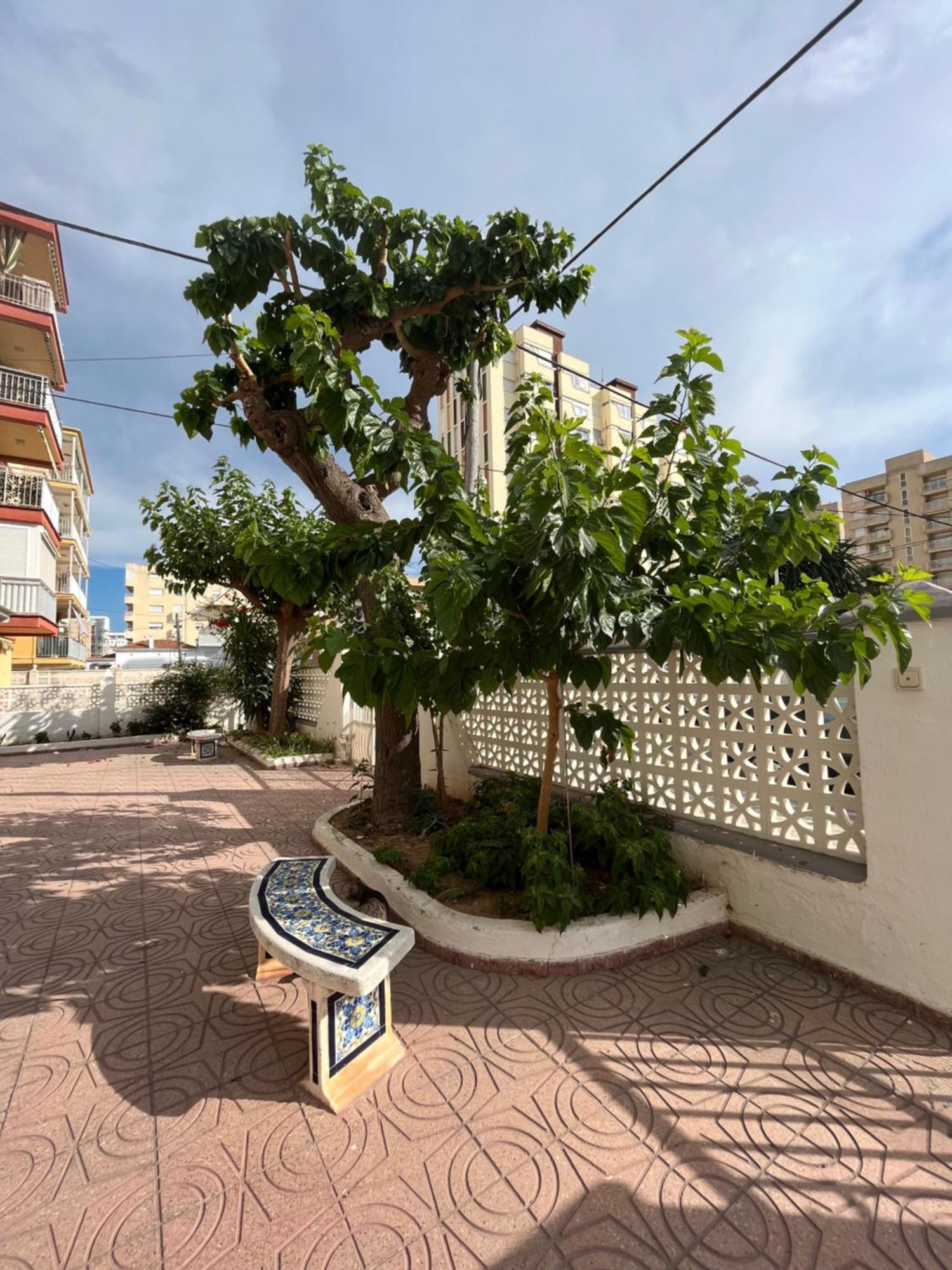 Апартаменты Rincon De Maria- Segunda Linea De Playa-Ganador Traveller Awards 2025 Playa de Gandia Экстерьер фото